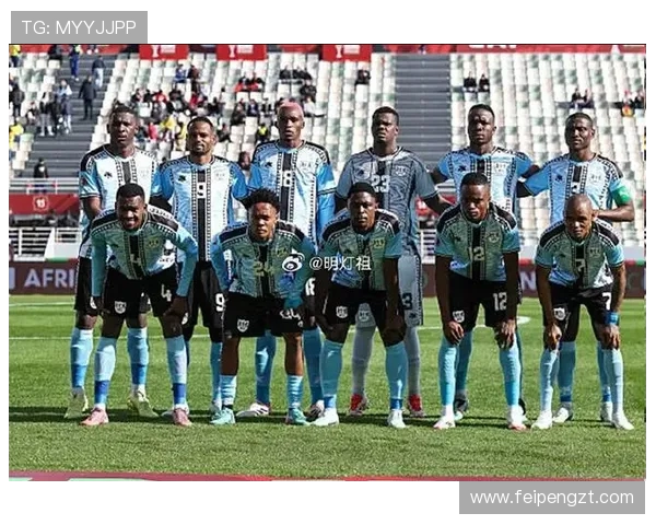 加纳与贝宁在非洲杯激战正酣谁能笑到最后争夺荣耀